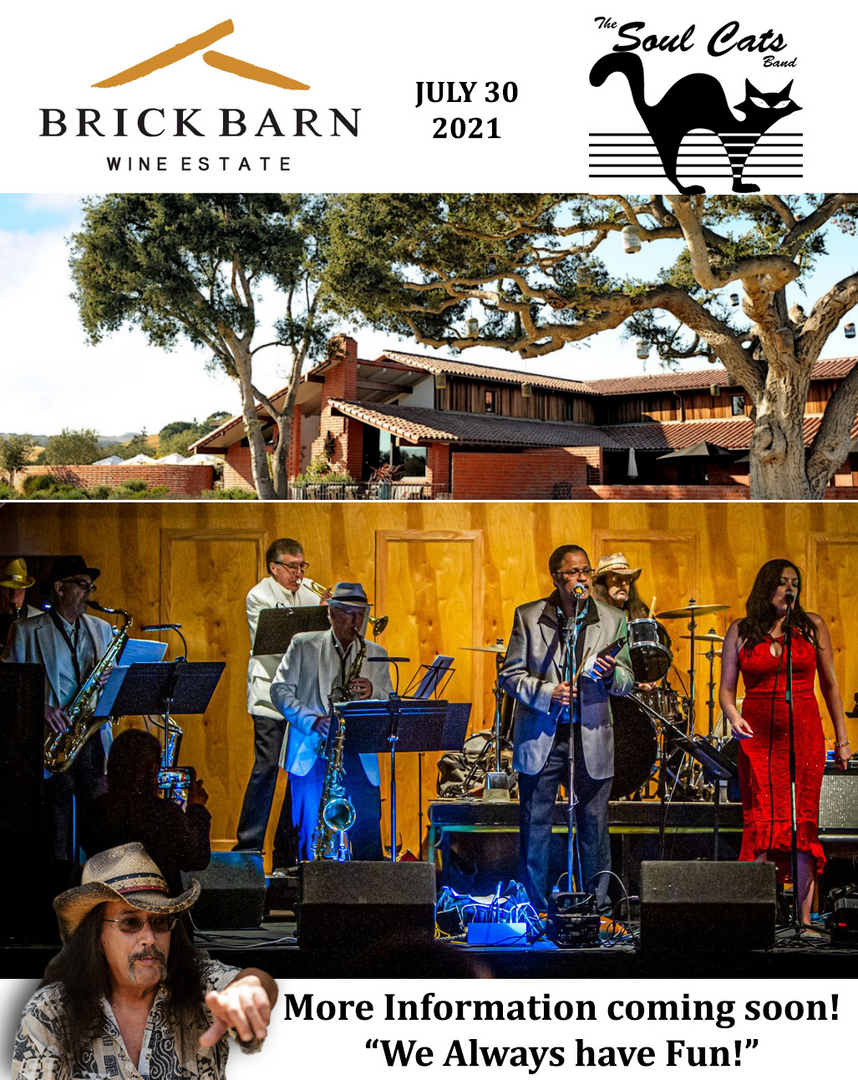 Female vocalist smiling at microphone